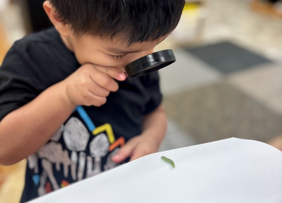 Daycare vs. Childcare vs. Preschool: Understanding Early Learning Options for Your Child 