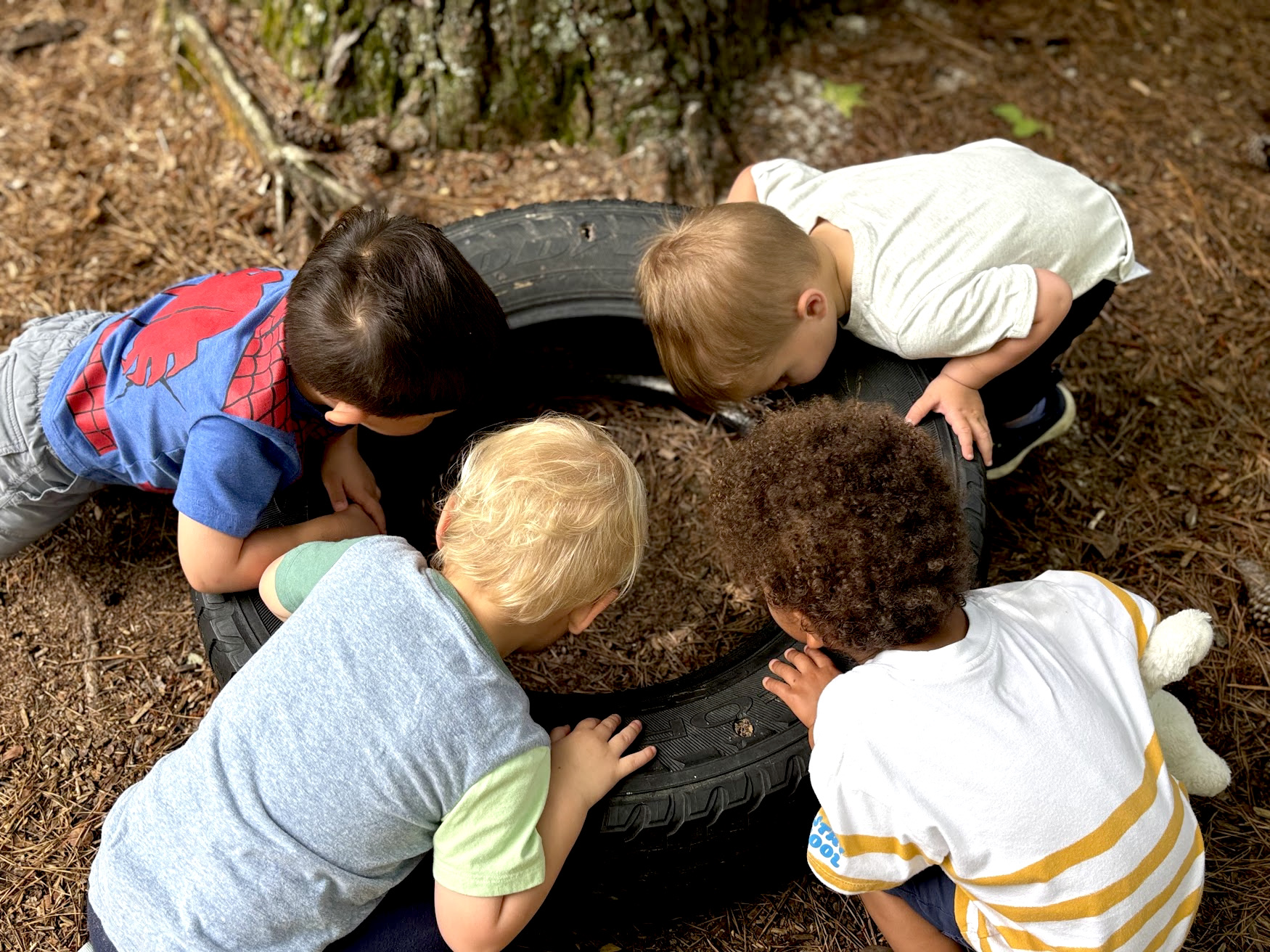 Language as a Bridge: Where Cultures Meet, Learn, and Belong